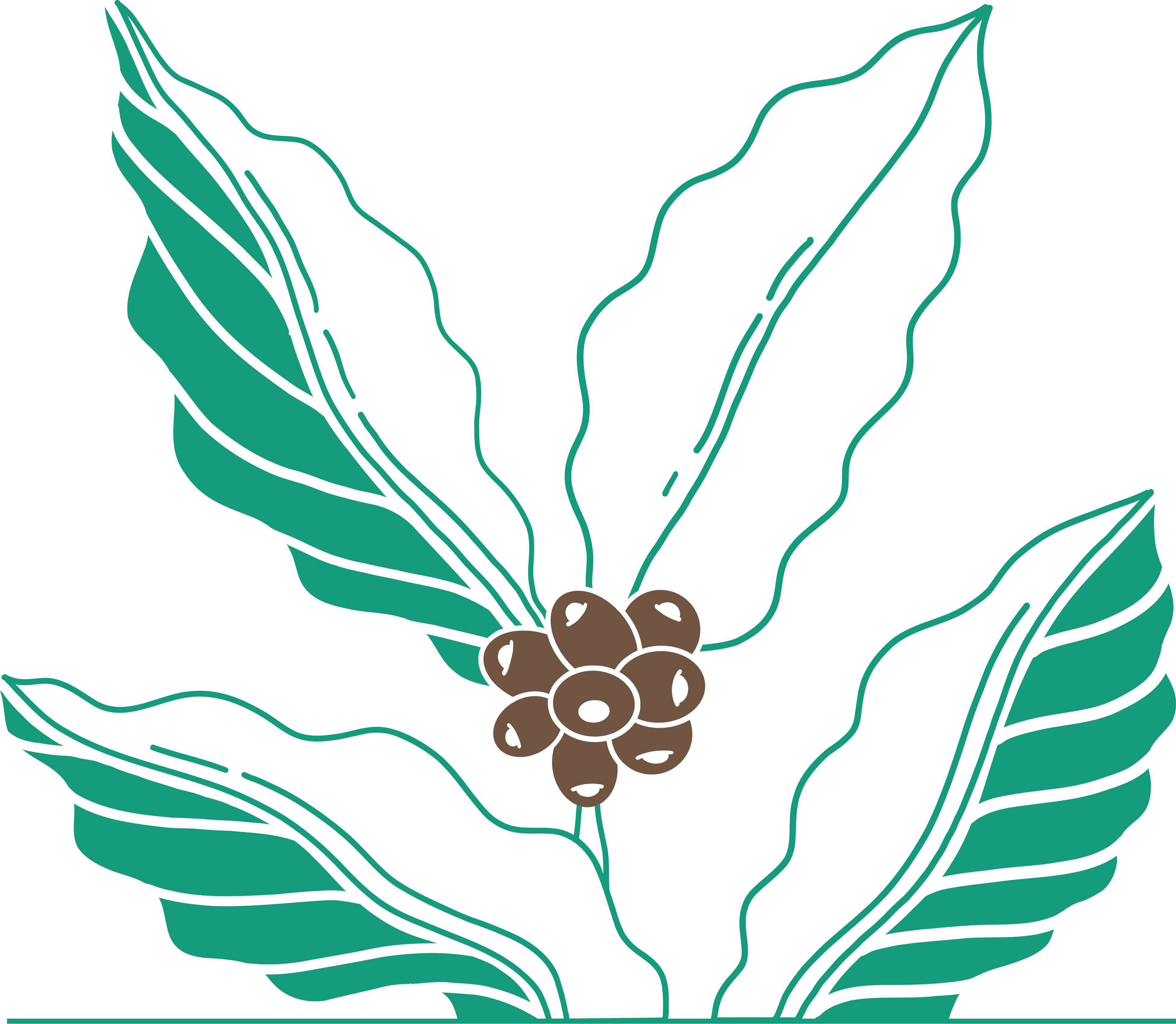 Coffee_Plant_650dca55-074a-422d-8829-99ded26647c1.png