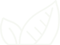 Asset_12_d5f1223a-e274-42fa-b2f2-6e50b665bc2b.png